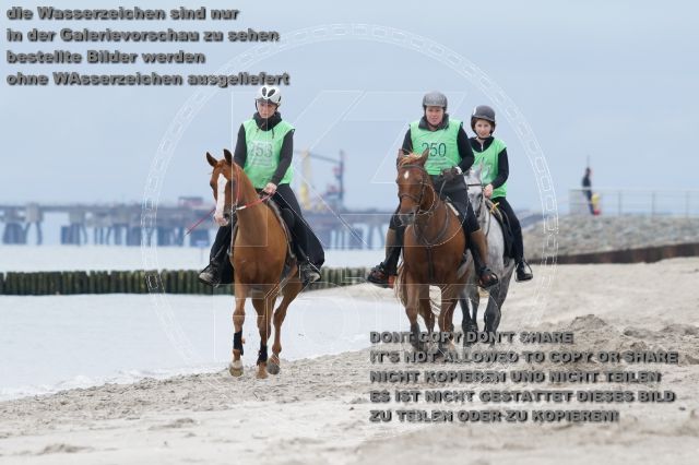 s_K3F04863.JPG